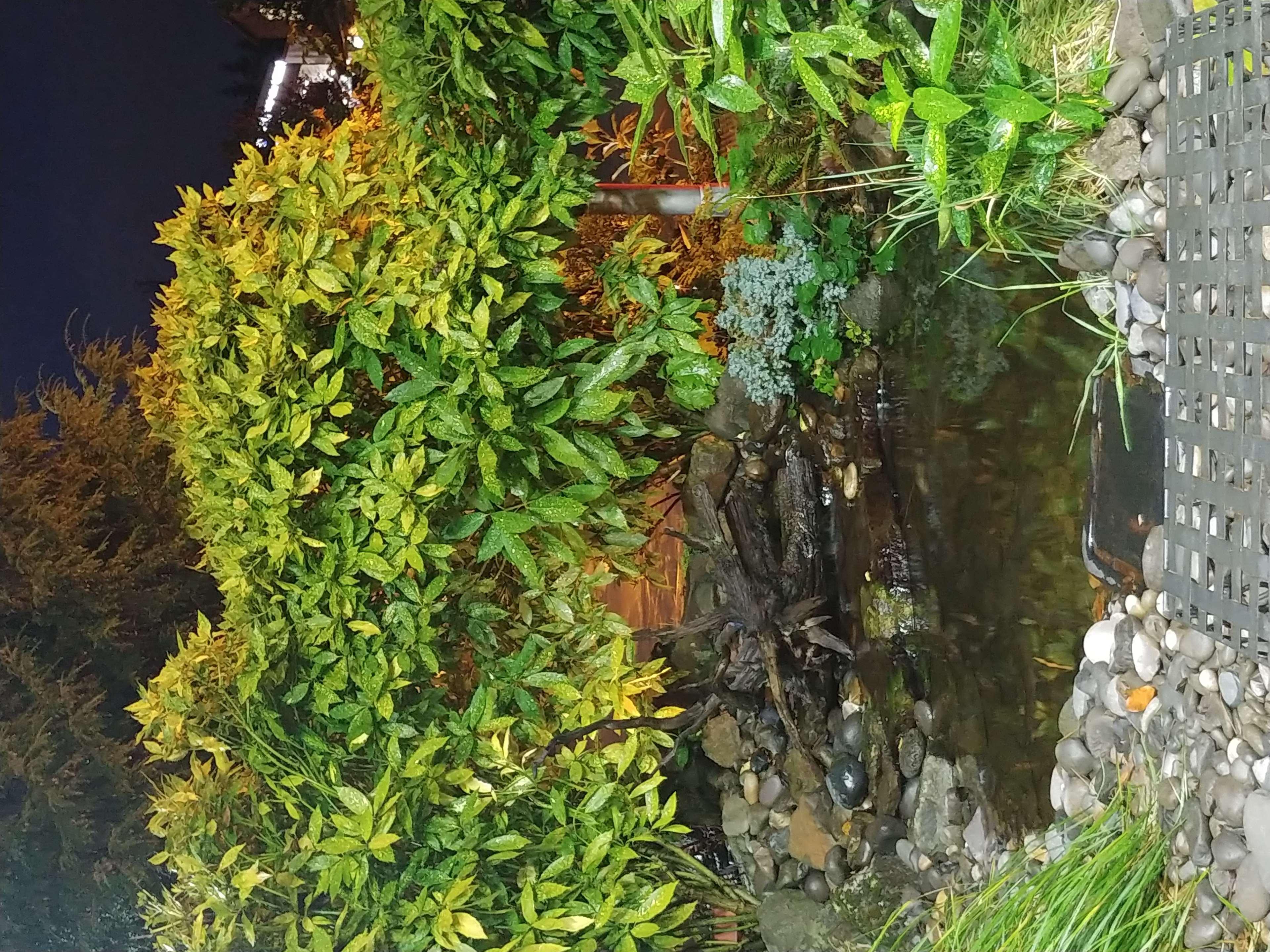 威尔逊维尔拉金塔旅馆酒店 外观 照片